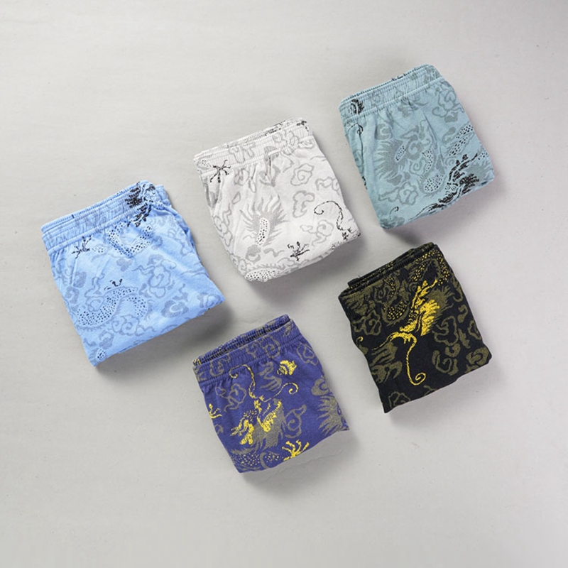 10 stks/partij 100% Katoen her - Boxer Brief Pack Cotton recensie en prijs